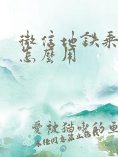 微信地铁乘车码怎么用 微信地铁乘车码怎么用