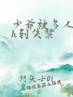 少爷被多人玩弄h到失禁