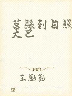 莒县到日照机场大巴