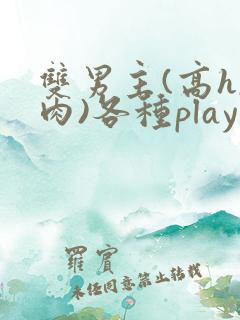 双男主(高h,肉)各种play