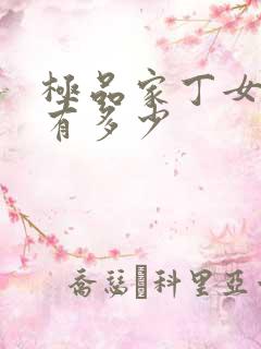 极品家丁女主角有多少