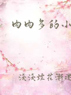 肉肉多的小说