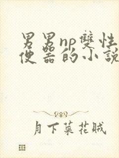 男男np双性肉便器的小说校园