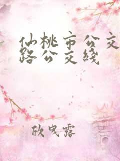 仙桃市公交33路公交线