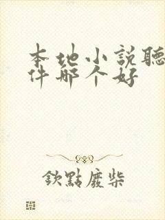 本地小说听书软件哪个好