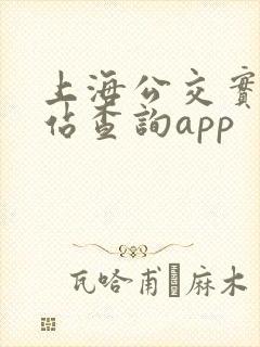 上海公交实时到站查询app