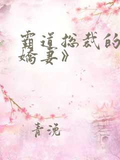 霸道总裁的独宠娇妻》