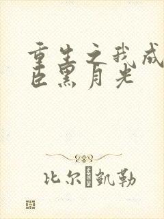 重生之我成了奸臣黑月光