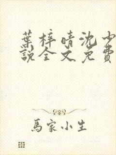 叶梓晴沈少廷小说全文免费阅读 叶梓晴沈少廷小说全文免费阅读