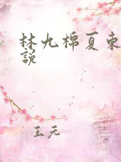 林九棉夏东路小说