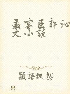孟宴臣许沁同人文小说