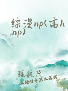 综漫np(高h,np)