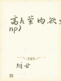 高h荤肉欲文(np)