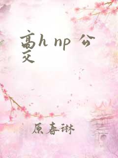 高h np 公交
