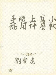 手机上写小说存稿用什么软件