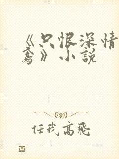 《只恨深情不识鸢》小说
