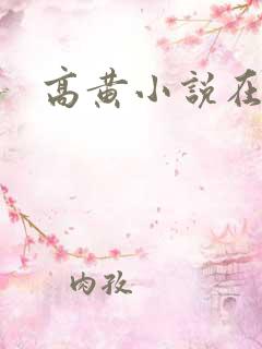 高黄小说在线看 高黄小说在线看