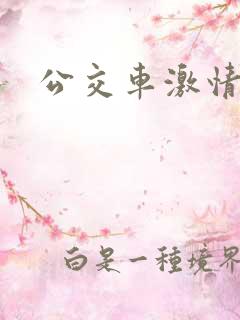 公交车激情乱淫