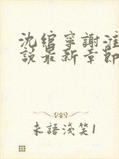 沈绾宁谢淮今小说最新章节免费阅读