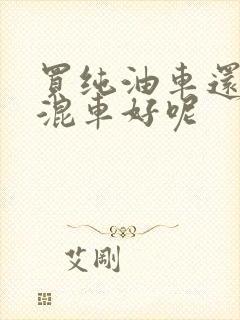 买纯油车还是插混车好呢 买纯油车还是插混车好呢
