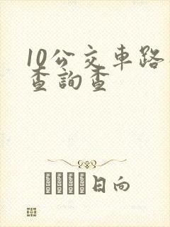 10公交车路线查询查