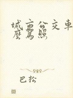 城市公交车是什么驾照