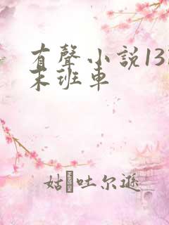 有声小说13路末班车