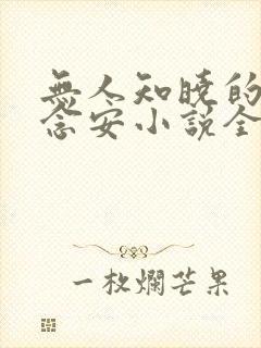 无人知晓的她苏念安小说全文免费阅读
