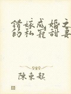 错嫁成婚之总裁的私宠甜妻完整版