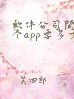 软件公司开发一个app要多少钱