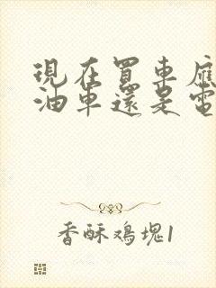 现在买车应该买油车还是电车 现在买车应该买油车还是电车
