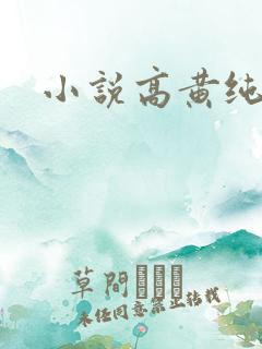 小说高黄纯肉