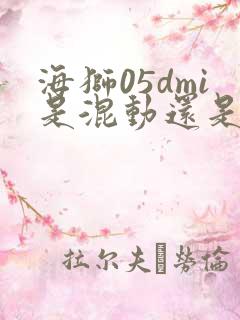 海狮05dmi是混动还是纯电