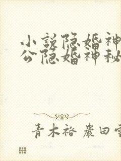 小说隐婚神秘老公隐婚神秘老公