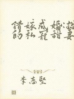 错嫁成婚:总裁的私宠甜妻 风亭