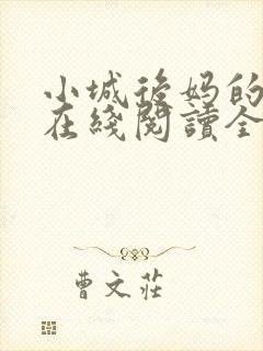 小城后妈的小说在线阅读全文