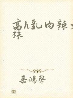 高h乱肉辣文丝袜