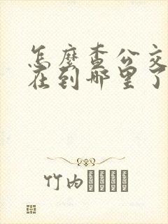 怎么查公交车现在到哪里了