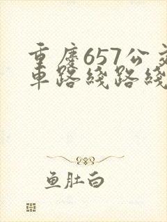 重庆657公交车路线路线图