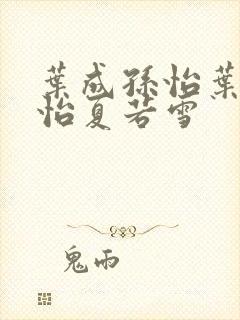 叶成孙怡叶辰孙怡夏若雪