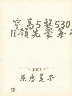宝马5系530li领先豪华型