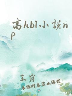 高hbl小说np