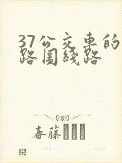 37公交车的线路图线路 37公交车的线路图线路