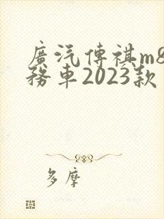 广汽传祺m8商务车2023款