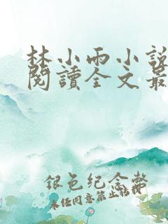 林小雨小说免费阅读全文最新章节