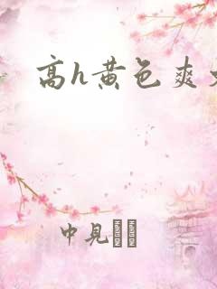 高h黄色爽文