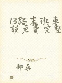13路末班车小说免费完整版
