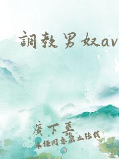 调教男奴av
