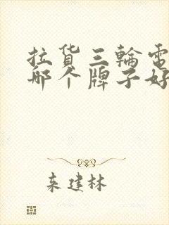 拉货三轮电动车哪个牌子好