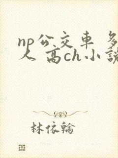 np公交车 多人 高ch小说